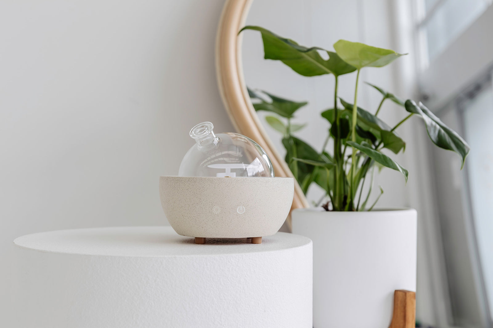 Oilly Vibes | Aesthetic diffuser home decor product
